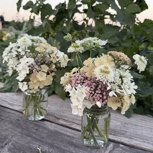 Small Floral Arrangement in a Mason Jar