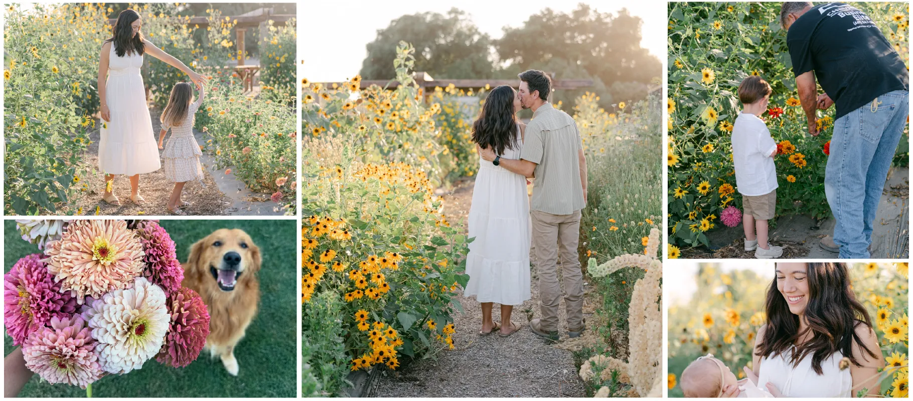 About Island Acres Flower Farm Founders Family Photos