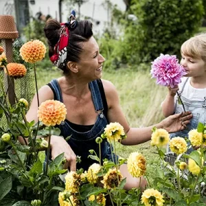 You-Pick Flower Events